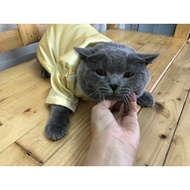 Baju Raya Kucing - Yellow Gold