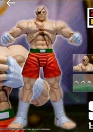 徵 sagat 沙加 街霸 street fighter storm arena 紅