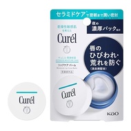 [DIRECT FROM JAPAN] Curel Lip Care Balm Fragrance Free 4.2g (x 1)