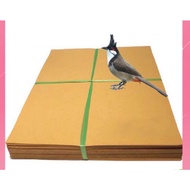 Combo 10kg Square cage lining paper 19 (36 square)