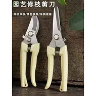 Gardening Shears Pruning Shears Flower Shears Garden Shears Flower Shears Branches Fruit Tree Shears