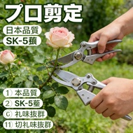 pruning shears SK-5 gardening import pruning pruning shears pruning shears pruning pruning