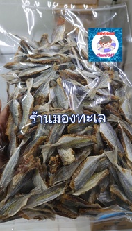 ปลาข้างเหลืองตัดหัว ตากแห้ง ขนาด 500 กรัม สินค้าผลิตตากใหม่ทุกวัน(ร้านมองทะเล)