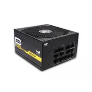 PSU INWIN P125 1250W 80PLUS GOLD FULL MODULAR POWER SUPPLY (Can Be Used Instead Of M1650 RM1000 HX12