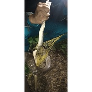 2 3.5cm snake trap nets (1 side 1.75cm) traps from 2 ounces to 1.2kg