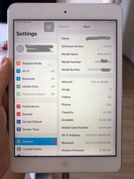 iPad mini 2 [32gb sim卡版]