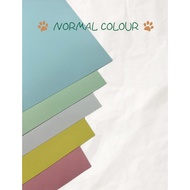 Lucky Star Manila Card Random Colour 160 gsm 20"x25" Kad Manila Kertas Warna