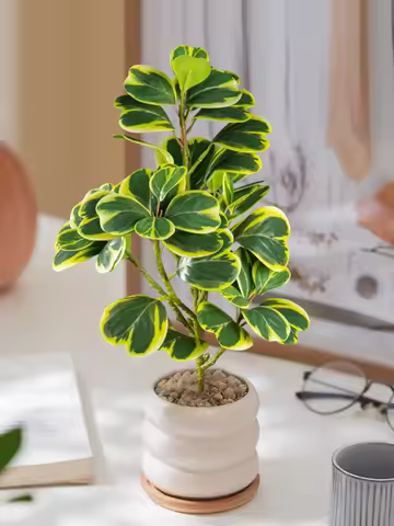 20-37cm Small Artificial Heart-leaf Hoya Plants Fake Succulent Landscape Plastic Magnolia Leaves For