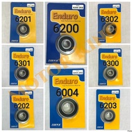 Enduro High Performance Bearing 6004 6200 6201 6202 6203 6300 6301 6302