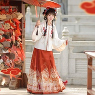 Floral Lantern-Inspired YouLong Hanfu Skirt Set - Chinese New Year Attire