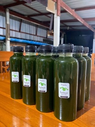 น้ำใบบัวบกคั้นสด 100% 12 ขวด จากสวนขนาด 250 ml. จำนวน 12 ขวด จัดส่งฟรีโดยรถทำความเย็น