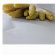 sardin roll frozen kelantan