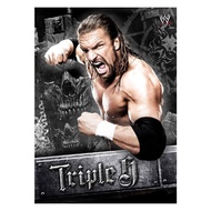 A Su Warehouse WWE Wrestling HHH 5x7 Unsigned Photo Triple H Color Picture Card