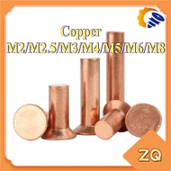 Copper countersunk head rivets GB869 percussion type flat head flat cone head solid rivets Copper d 