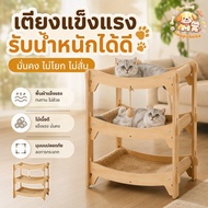 2/3-Storey Wooden Cat Condo Bed Scratcher Multi-Storey Strong Scratch-Resistant