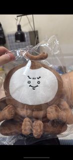 放甲蟲 chiikawa