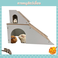 ของเล่นสัตว์เลี้ยง ของเล่นหนูแกสบี้ ของเล่นหนูแฮมเตอร์ บ้านหนูแกสบี้ บ้านหนูแฮมเตอร์ บ้านสัตว์เลี้ยง