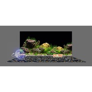 3d painting. stickers for aquariums, arowana fish tanks (back painting)