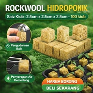 [100 Cubes] Rockwool Hydroponic Aquaponic Seed Grow Germination | Semai Benih Sistem Hidroponik Akua