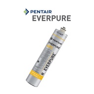 Everpure 4FC Water Filter (Commercial Use)