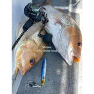 JIG KILLER / JDM JIG / JDM STRIKER FAST JIG