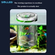 Aquarium Fish Breeding Box, Acrylic Hatchery Incubator Tank With Suction Cups, Breeder Isolation Box