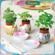 SEISHIN | Mini DIY Home Indoor Gardening | Peropon Cats Self Watering Plant