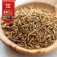 WHITE CUMIN | CUMIN SEED | SQUID | WHITE CUMIN
