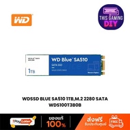 WDSSD BLUE SA510 1TB,M.2 2280 SATA (WDS100T3B0B)