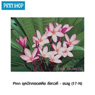PINN SHOP ชุดปักครอสติช ลีลาวดี - ชมพู 17-N