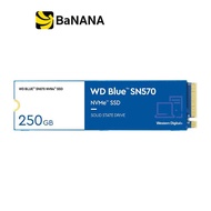 การ์ดเอสเอสดี WD SSD 250GB-1TB M.2 PCle/NVme Blue - 5 Year (SN570) by Banana IT