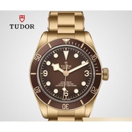 Tudor (TUDOR) Watch Male Biwan Series Automatic Mechanical Swiss Watch 39mmm79012M-0001 Bronze Brown Disc 39mm