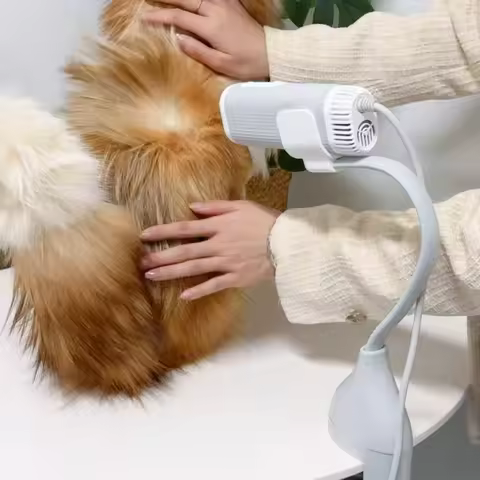Pet Hair Dryer High Power Silent Hair Blowing Artifact Large and Small Dog Water Blower Special for