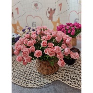 HIGH QUALITY IMPORTED MINI FOAM ROSE