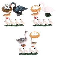 4 PCS Goose Farm Animal Life Cycle Model Simulation Animal Growth Cycle Figure Figurine Set Kid Toys Gift