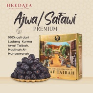 Kurma Ajwa Safawi Madinah Premium Aryaf Taibah