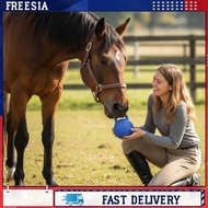 9.8 Inch Jolly Ball Equine Play Ball for Horses Stall Entertainment Play