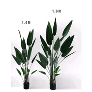 ♨️POKOK VIRAL PREMIUM SKYBIRD/artificial plant/artificial banana /pokok skybird/pokok banana