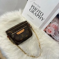 LV Mini Bumbag