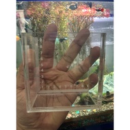 Acrylic Fish Tank 5 Mm Thick With Scale 2 Sizes Water Test No Leaks Seepage Jar Betta Balloon