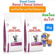 Royal Canin Renal 4 kg/Select 4kg Kidney Disease Cat Cats Choose To Eat Odor-Enhancing Formula Size 