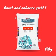 Fertilizer water soluble / foliar - ANPIKA 10-5-40+TE [10KG]. (Baja Lebat Buah)