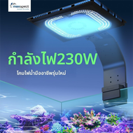 maxspect | หลอดไฟสำหรับตู้ปลา