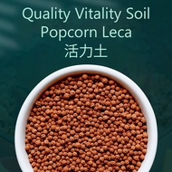 1Kg Quality Vitality Soil Popcorn Leca 4-5mm Multi purpose potting medium soil 多元土