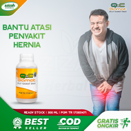 Obat Sakit Hernia Alami QNC Jelly Gamat - Obat Khusus Hernia Obat Hernia Usus Turun Obat Herbal Hern
