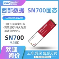 WD/Western Digital Red SN700 4TB Solid State Drive M.2 Western Digital SSD Red Disk Storan Rangkaian