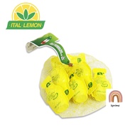 [KPRIME] ITAL LEMON FIORDI Lemon Juice Concentrate 8ml × 6 pieces