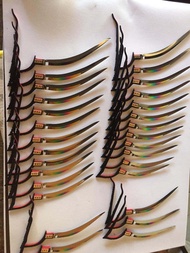 HSS HARGA PERBATANG TAJI AYAM PELANGI M42 PREMIUM ORIGINAL