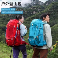 Bracket Outdoor Climbing Bag Men 65L Large Capacity Reloaded Camping Backpack Hiking Waterproof Back
