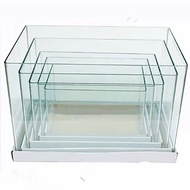 [DA NANG SPEED FIRE] Cast glass aquarium 40x24x25cm - aquarium aquarium